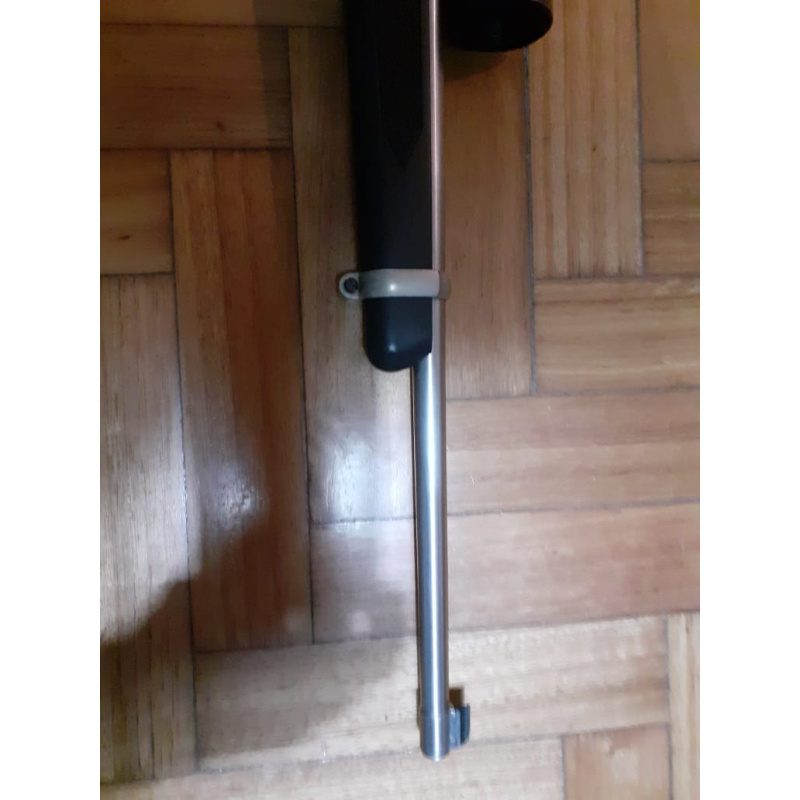Carabina Ruger 10/22 Inox