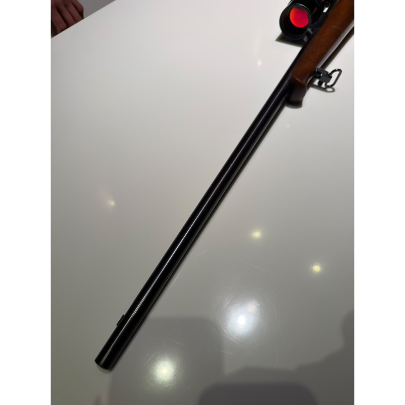 Cz 452-2e 22mg