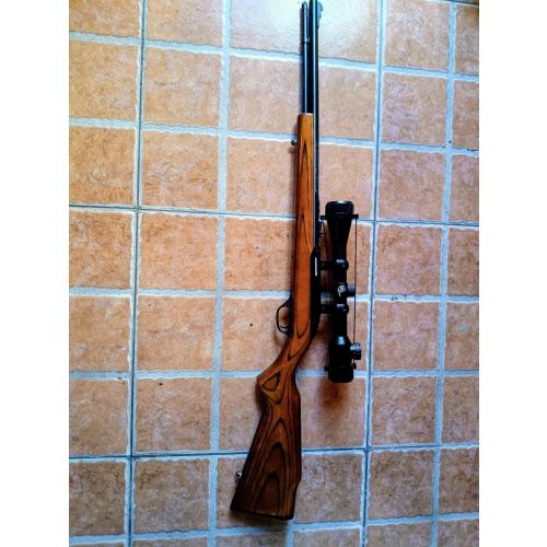 Carabina Marlin Modelo 60 Semiauto, Culata Laminada Cal 22 Largo
