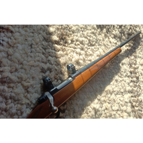 Fusil Ruger 308