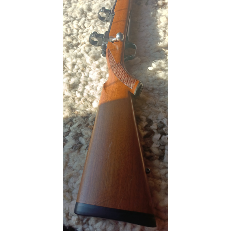 Fusil Ruger 308